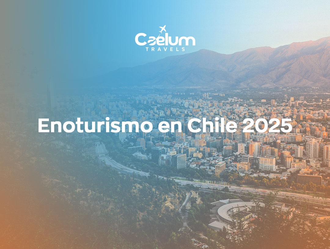 Enoturismo en Chile 2025: Cultura, vino y paisaje en una experiencia inolvidable